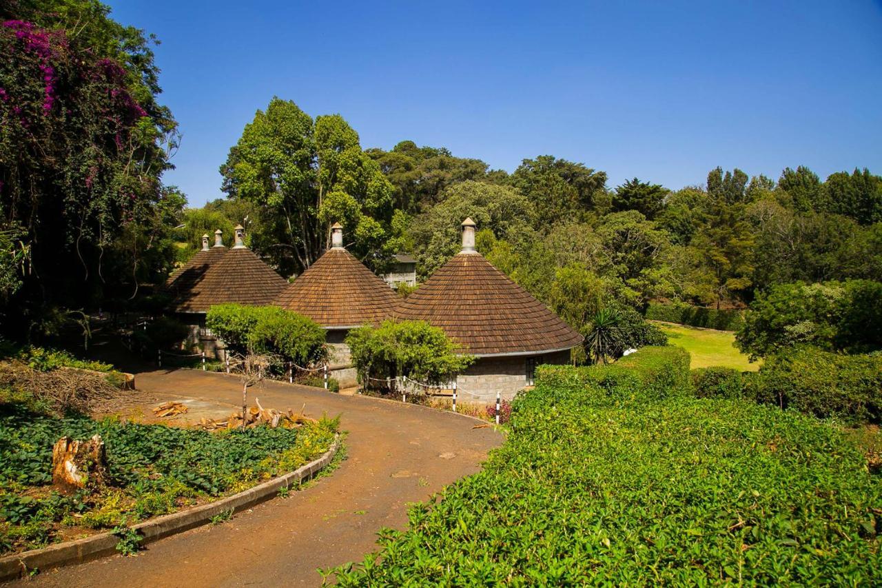 Thayu Farm Hotel Limuru Extérieur photo